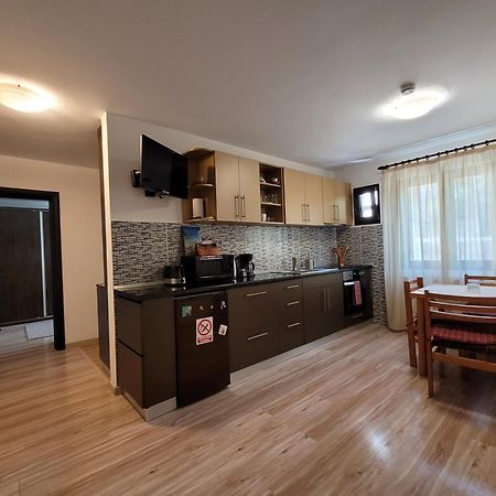 Central Place Apartment Timișoara Zewnętrze zdjęcie