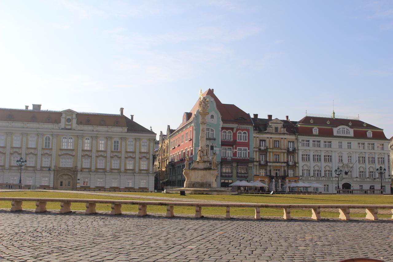 Central Place Apartment Timișoara Pokój zdjęcie