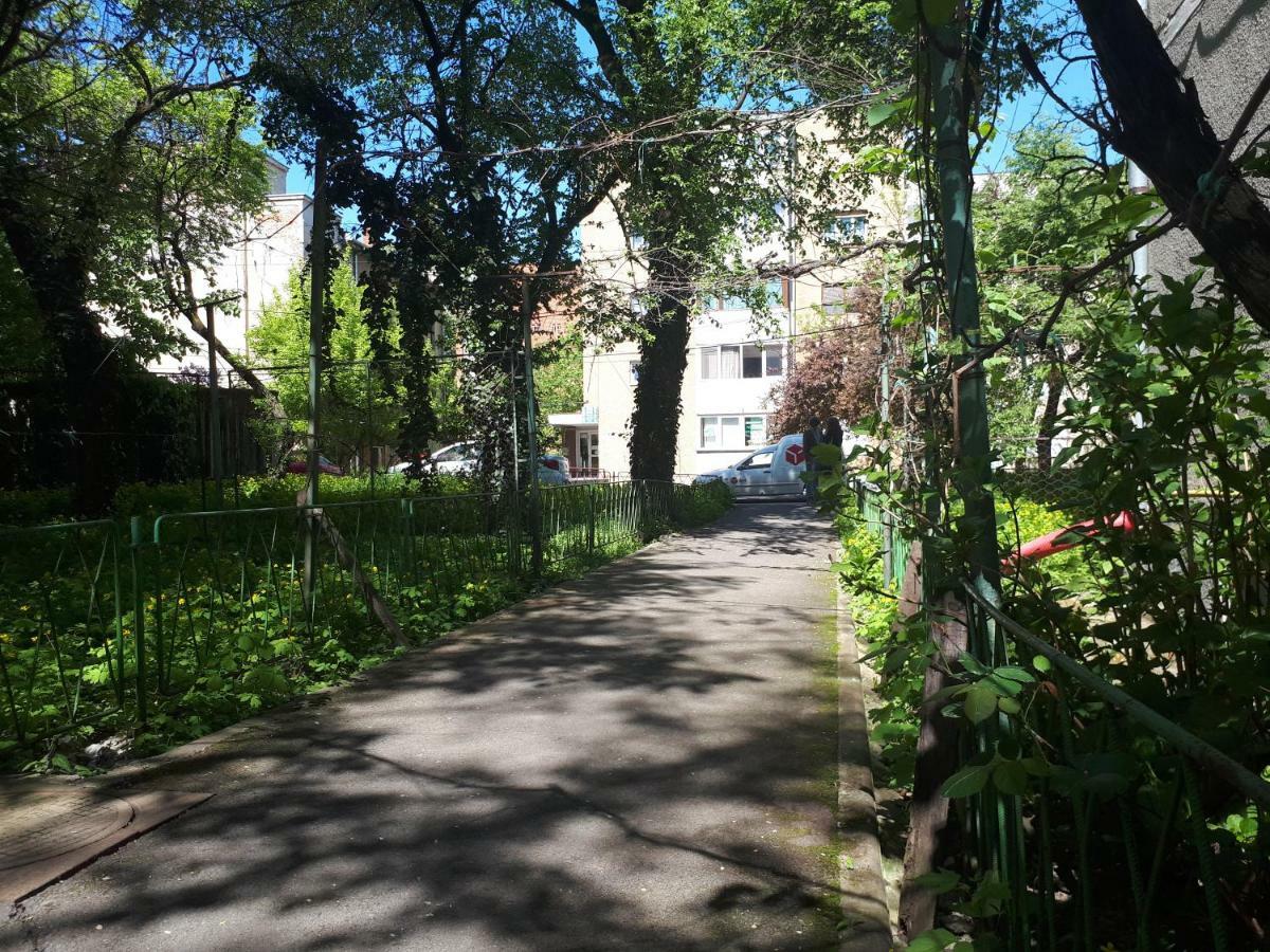 Central Place Apartment Timișoara Zewnętrze zdjęcie