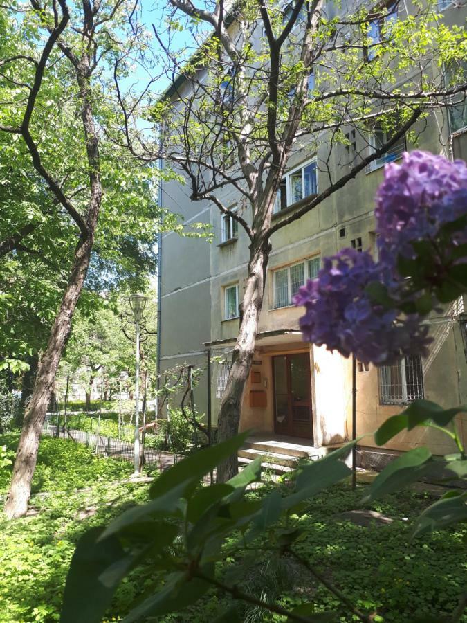 Central Place Apartment Timișoara Zewnętrze zdjęcie