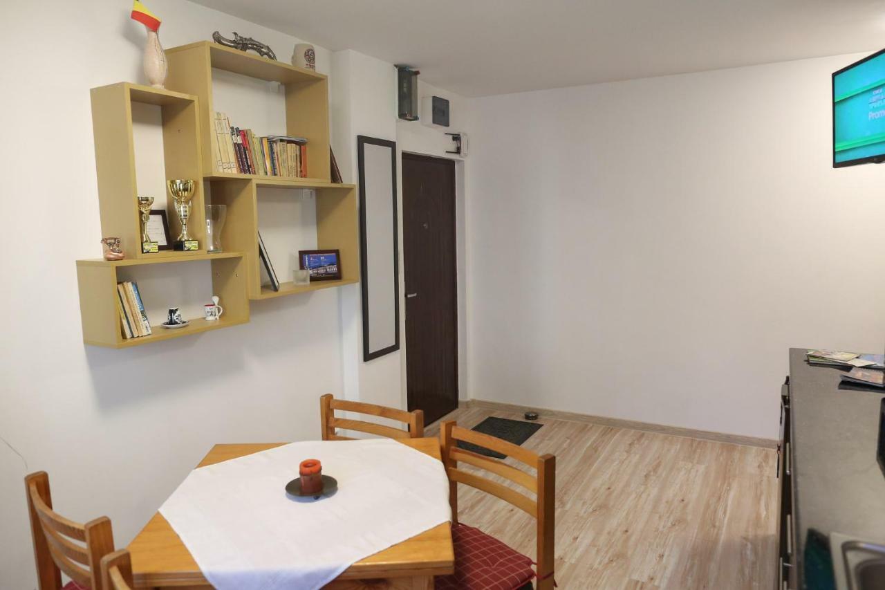 Central Place Apartment Timișoara Zewnętrze zdjęcie