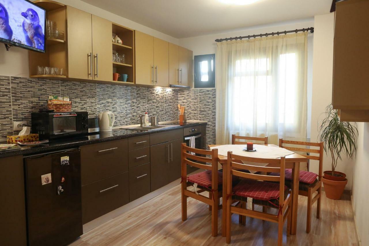 Central Place Apartment Timișoara Zewnętrze zdjęcie